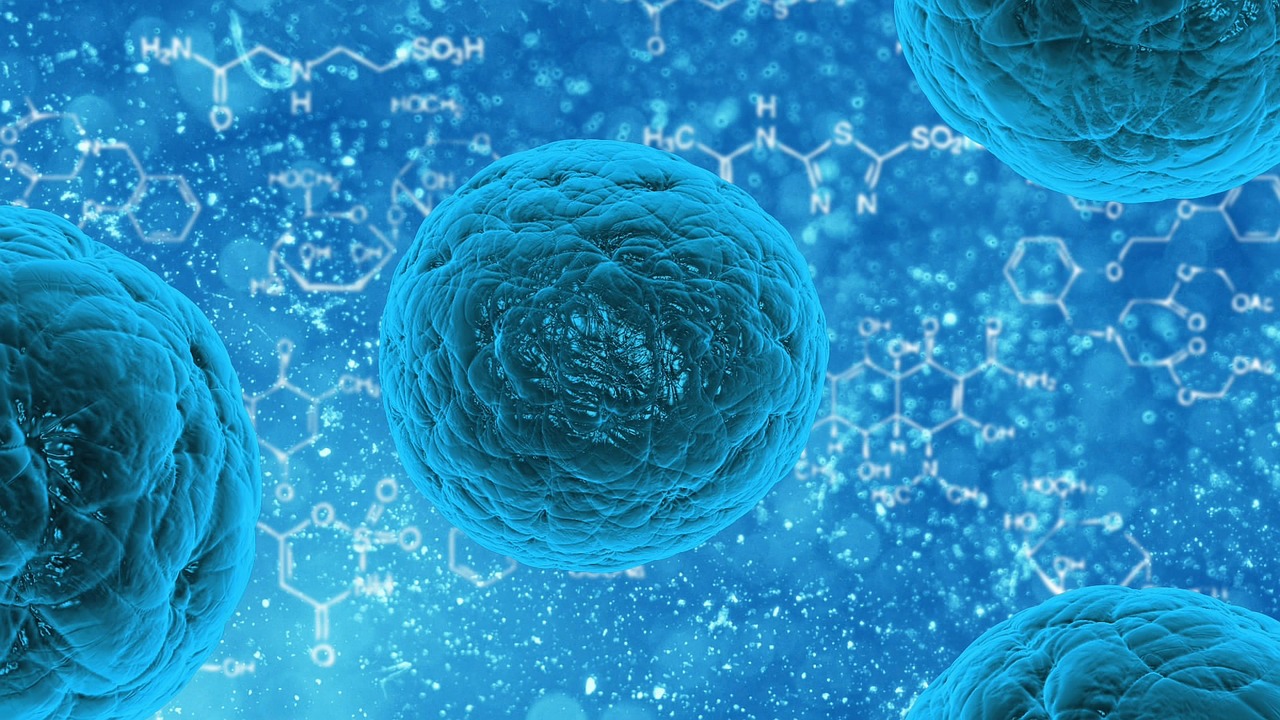 Cura delle patologie degenerative di Ortopedia, ginecologia, otorino, dermatologia